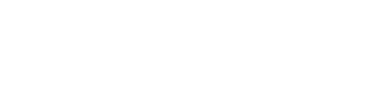 Tidal logo